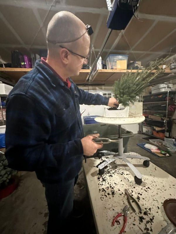Colorado Blue Spruce 2 — Observation — 2022-12-29