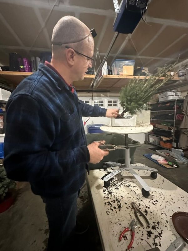 Colorado Blue Spruce 2 — Observation — 2022-12-29