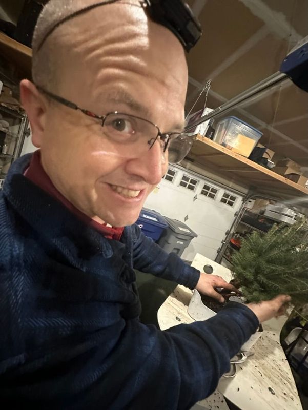 Colorado Blue Spruce 2 — Observation — 2022-12-29