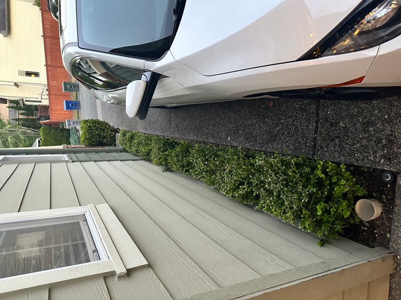 Boxwood 4 — Observation — 2025-07-14