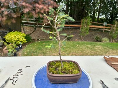 Care event photo